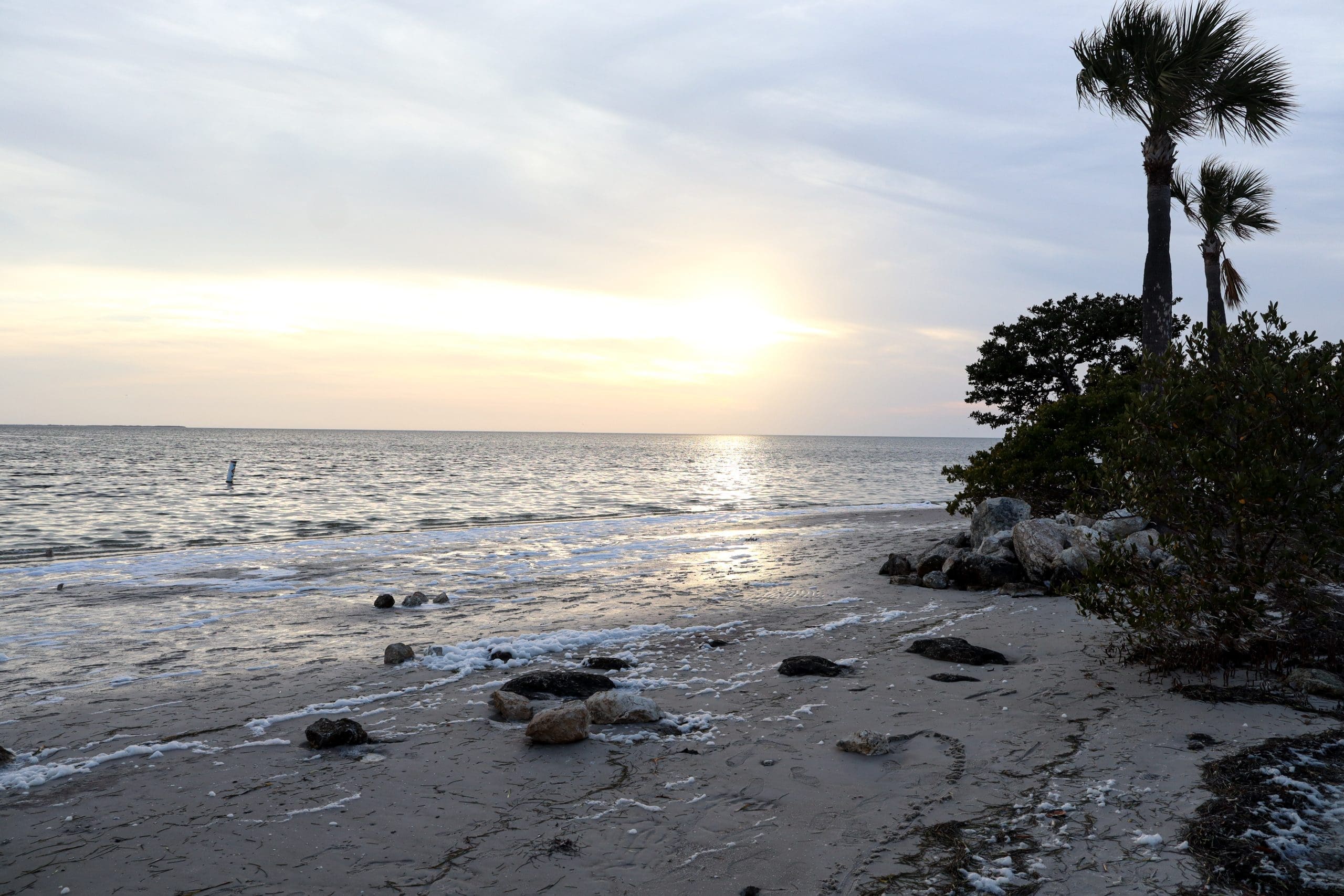The sun sets at Fred Howard Park in Tarpon Springs Florida.